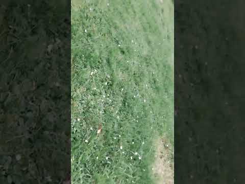 Видео: 7 сентября 2025 г.