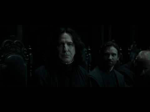 Видео: Короли ночной вероны