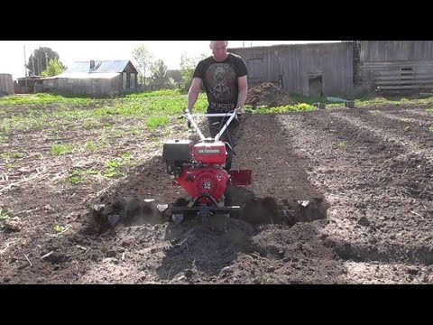 Видео: Фрезы гусиные лапки для мотоблока БРАЙТ 135.Культивируем огород под картошку.