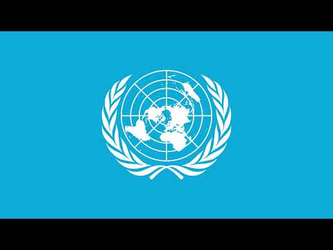 Видео: Всеобщая декларация прав Человека от 10 декабря 1948 года. 🔊 Daniel Che