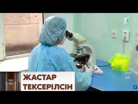 Видео: Депутат жас отбасылар бала тумас бұрын генетикалық тексеруден тегін өтсін деді.