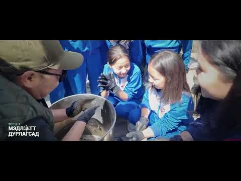 Видео: Шитэд шингэн /Гэр хорооллын нууран дээр/