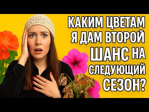 Видео: ИТОГИ СЕЗОНА|  цветы моего лета 2025 