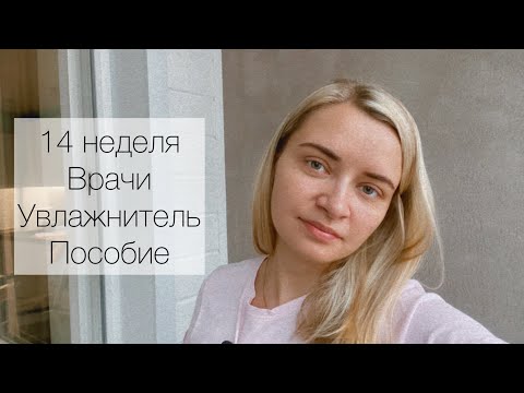 Видео: Эко беременность. 14 недель. Врачи, анализы. Увлажнитель. Про пособие по беременности.