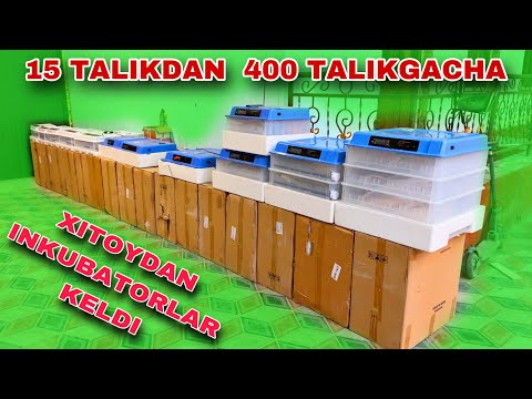 Видео: ХИТОЙДАН ИНКУБАТОРЛАР КЕЛДИ INKUBATORDA JO’JA OCHIRISH 15 TALIKDAN 400 TALIKGACHA