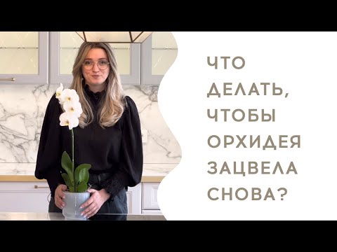 Видео: Что делать, чтобы орхидея зацвела снова? // Правила ухода за орхидеей