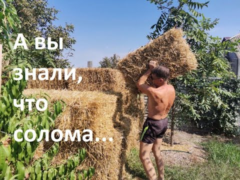 Видео: Для чего мы скупаем солому?
