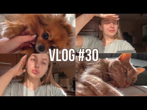 Видео: едем домой, немного о практике студента-юриста (vlog 30) | dusheevnaya