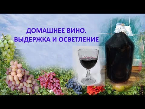 Видео: @Домашнее вино  Выдержка и осветление
