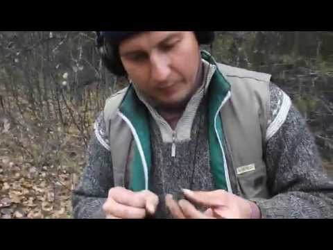 Видео: В поиске кладов. Сгоревший дом лесника (начало 18 век.), или не битое место.