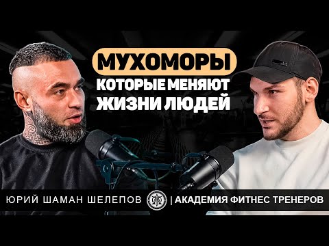 Видео: Шаман о фармакологии и «волшебных» грибах. Юрий Шелепов