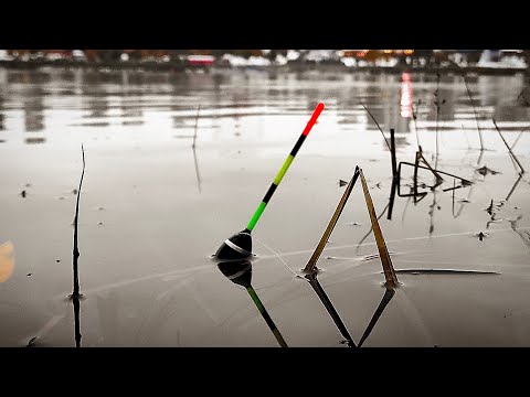 Видео: В ГЛУБОКОЙ СТАРИЦЕ ТОПИТ ПОПЛАВОК! Неужели Карась? Закрыл сезон ВОТ ЭТИМ! Рыбалка 2025