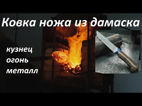 Видео: Изготовление ножа из дамасской стали. Нож Вепрь с рукоятью из карельской берёзы