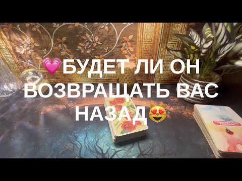 Видео: 13 ноября 2025 г.