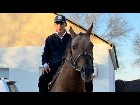 Видео: Тұмар - жұрттың бәрі құмар!