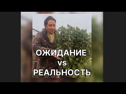 Видео: Провал сезона