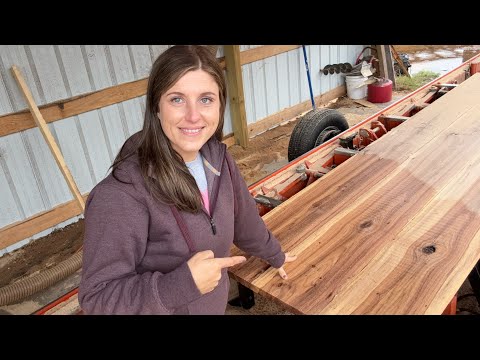 Видео: Настоящая ЛОШАДИНАЯ СИЛА спасает ПОВРЕЖДЕННОЕ БУРОЙ дерево!