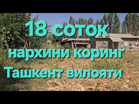 Видео: Уй сотилади Тошкент вилояти Куйичирчик 18 соток 