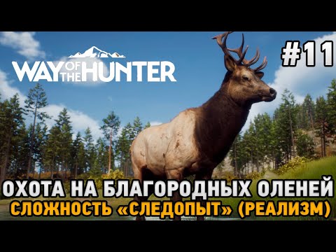 Видео: Way of the Hunter #11 Отличная охота на благородных оленей , Сложность "Следопыт" ( реализм )