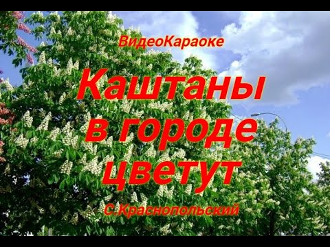 Видео: песня о городе могилёв-подольский