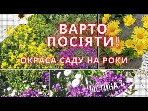 Видео: БАГАТОРІЧНИКИ З НАСІННЯ. Посій вже в цьому році, щоб мати красу на квітниках!
