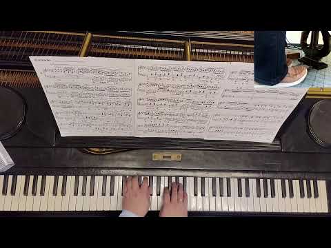 Видео: Путь к балладе Шопена ‒ день 11 | продолжение работы над главной партией | повтор коды