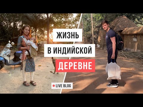 Видео: VLOG 29. Маяпур, Индия: есть ли жизнь в индийской деревне / Аскеза в кедах