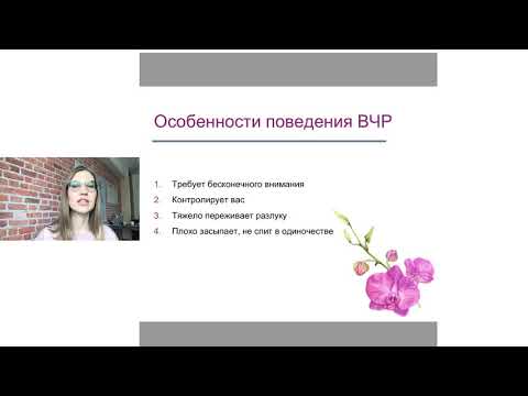 Видео: Вебинар 2 Особенности поведения чувствительного ребенка