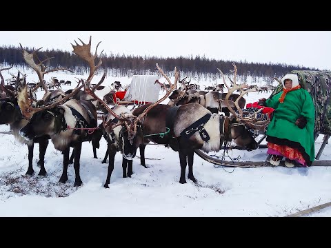 Видео: Невероятная судьба | Ясавэй. Кочевник ХХI века. 2 часть