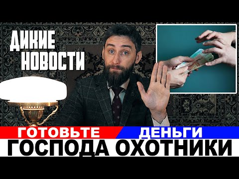 Видео: Новые ограничения для охотников  30 дней на копытных и медведя. Дикие Новости
