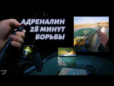 Видео: Ловля СУДАКА превратилось в 28 МИНУТ БОРЬБЫ