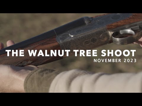 Видео: Стрельба по грецким орехам, Хартфордшир