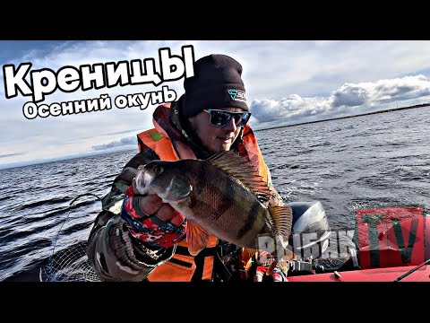 Видео: ОСЕННИЙ ЖОР ОКУНЯ НА ЛАДОГЕ. Ловим окуня в октябре на Ладожском озере. Креницы.