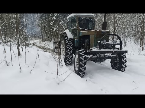 Видео: Работа в лесу.Т40.