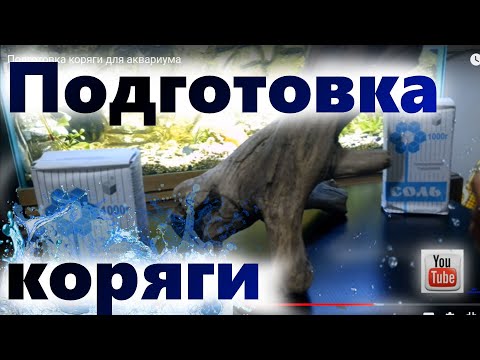 Видео: Подготовка коряги для аквариума