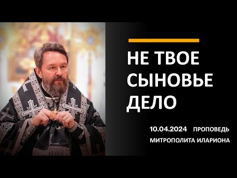 Видео: Не твое сыновье дело