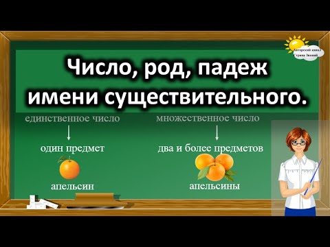 Видео: Русский язык. Число, род, падеж имени существительного.