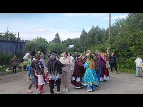 Видео: 5 ноября 2025 г.