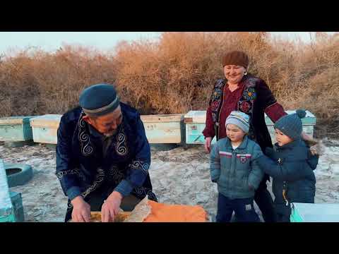 Видео: Сырдария ауданы, Бесарық ауылы.  Бөбек бөбекжай балабақшасы