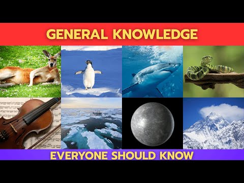 Видео: Викторина на общие знания из 50 вопросов! | Сможете ли вы получить высший балл?