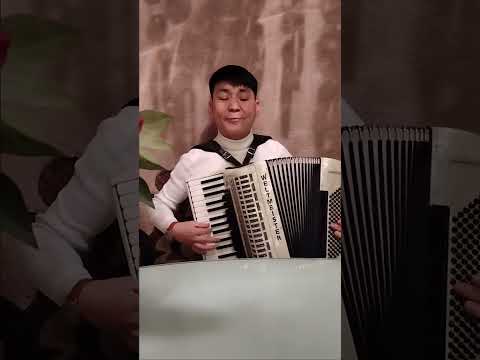 Видео: Алтынбек Тотуев - Шолоктоп неге ыйладын.