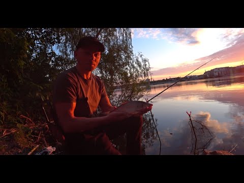 Видео: Рыбалка Киев!Вечерняя ловля,Приятный бонус! Фидерная рыбалка в Киеве на Днепре.