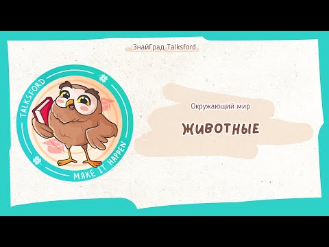 Видео: Окружающий мир. Животные (насекомые, рыбы, земноводные, пресмыкающиеся, птицы, млекопитающие)
