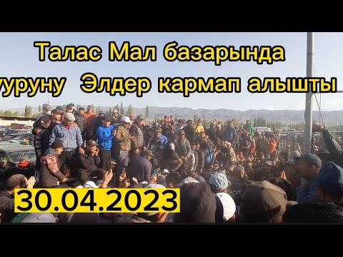 Видео: Бугун Талас Мал базарында корманшик  колго тушту 30.04.2023 Катталып кетиниздер,