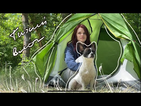 Видео: ТИХИЙ ВЛОГ🌳что мы берем на отдых с палатками ⛺️ походная кухня🍖 счастливая собака🐶