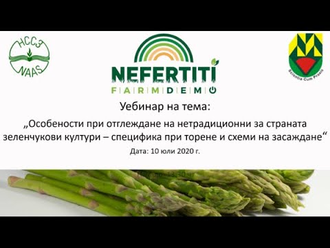 Видео: Аспержи, кейл, артишок, ревен, девесил, манголд – специфика при торене и схеми на засаждане