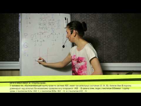 Видео: Задачи по генетике: Взаимодействие аллельных генов 2