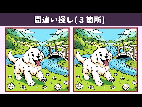 Видео: Найдите 3 отличия | Иллюстрация Версия #1344