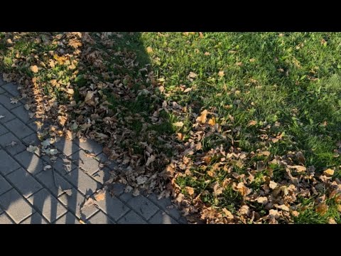 Видео: VLOG Худшая ночь 08.09.2025