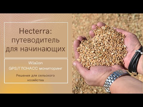 Видео: Hecterra: путеводитель для начинающих